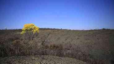 Parque do Juquery reabre ao público após incêndio