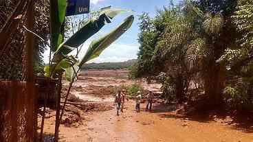 Acordo prevê 'fábrica de mosquitos' para combater dengue em Brumadinho