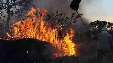 China passa a observar mais a questão ambiental, no Brasil