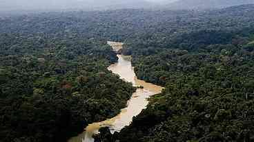 Amazônia e os direitos: humanos e da natureza