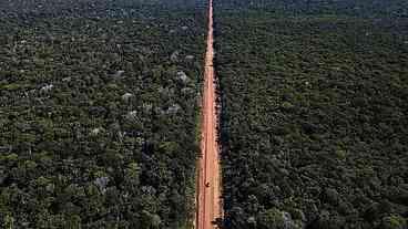 Reconstrução da BR-319 começa sem estudo de impacto ambiental