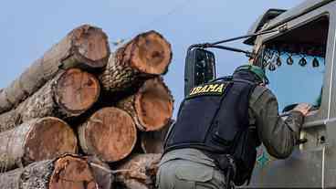 Funcionários do Ibama prometem suspender fiscalização ambiental