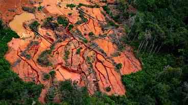 Garimpo em Terra Indígena Yanomami cresce 7% no ano passado, diz relatório