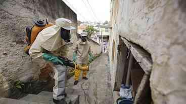 Minas declara situação de emergência, com casos disseminados de dengue