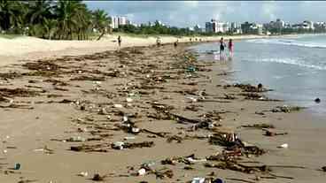 Toneladas de lixo voltam neste domingo a aparecer no litoral do Nordeste