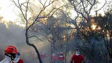 Parque do Juquery, na Grande São Paulo, ainda tem focos de incêndio