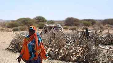 África Ocidental enfrenta catástrofe alimentar, alertam ONGs