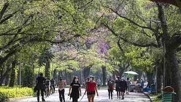 Termômetros devem chegar aos 33°C em São Paulo