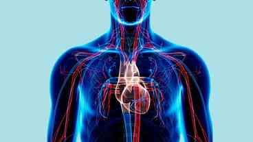 Federação quer reduzir mortalidade de doença cardiovascular até 2030