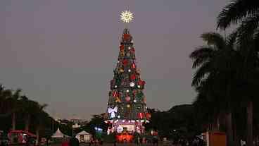 Parque Villa-Lobos exibe árvore de Natal com 52 m de altura