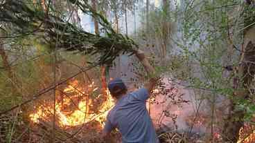 Onda de calor no Chile agrava incêndios florestais