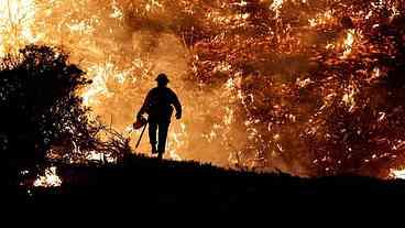 Peritos da ONU alertam para aumento de incêndios florestais