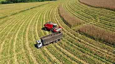 Balança comercial do agro de SP tem alta de 23,4%