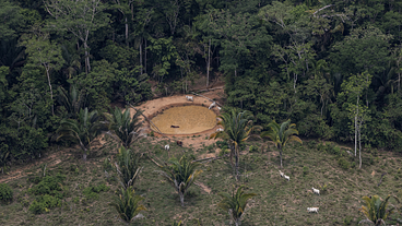 Amazônia: desmatamento em terras indígenas é o menor em seis anos