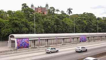 BRT Transbrasil se transforma no maior corredor de arte urbana da América Latina