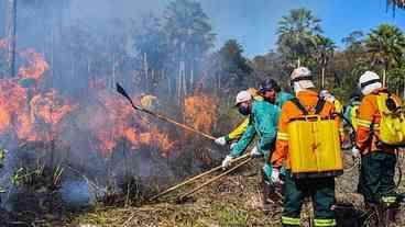 Fogo no Pantanal consumiu o dobro da área da cidade de SP neste ano