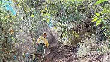 Incêndio no Parque Nacional do Itatiaia é extinto