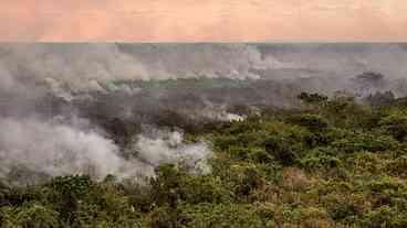 Pantanal poderá ter crise hídrica histórica neste ano, diz estudo