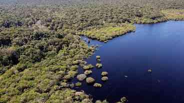 Criação do Museu das Amazônias é lançada em Belém