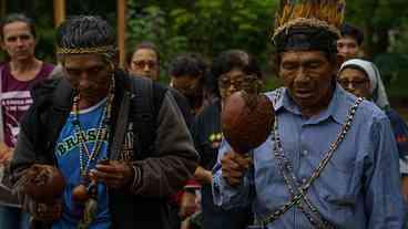 Guarani Kaiowá é baleado em atentado na Terra Indígena Panambi