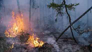 Incêndios florestais espalham fumaça pelo hemisfério norte