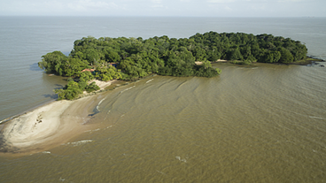 OMT desvenda mistérios do campo magnético na Amazônia