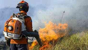 Clima implacável leva incêndios ao coração do Pantanal e dizima fauna