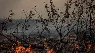 Bolívia pede ajuda ao Brasil para combater incêndios na fronteira